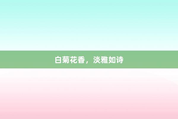 白菊花香，淡雅如诗